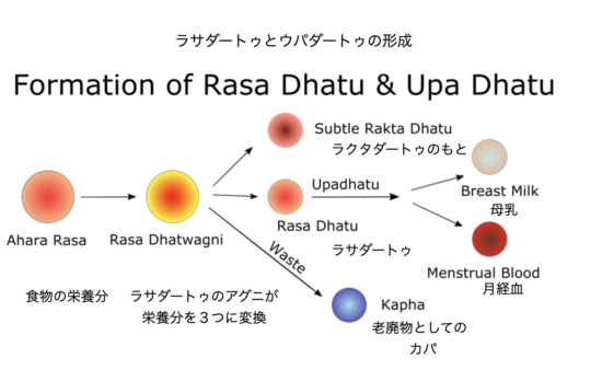 ダートゥとウパダートゥ