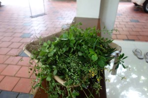 2017年春　南インド訪問記④　インドの食卓から見えたこと