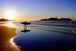 Traditional Ayurveda Japan の軌跡１