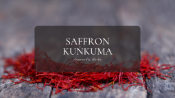 Ayurvedic Herbs ⑥サフラン -クンクマ