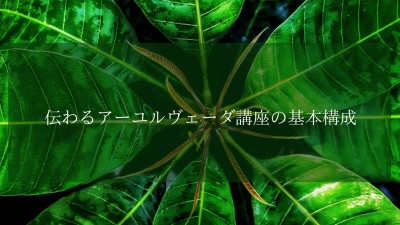 伝わるアーユルヴェーダ講座の基本構成