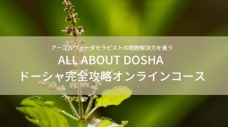 アーユルヴェーダセラピストのためのAll About Dosha〜ドーシャ完全攻略オンラインクラス　