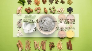 アーユルヴェーダ基礎［アーユルヴェーダ薬理学］