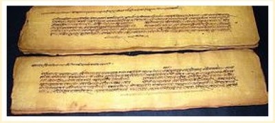 TAJが基礎講座にサンスクリット語学習を導入する理由